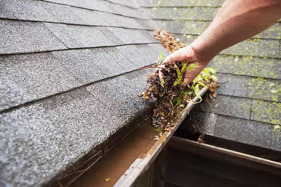 Gutter Wash & Cleanup